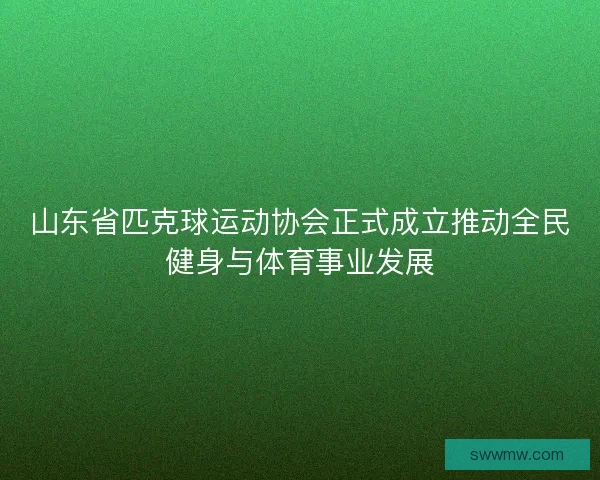 山东省匹克球运动协会正式成立推动全民健身与体育事业发展
